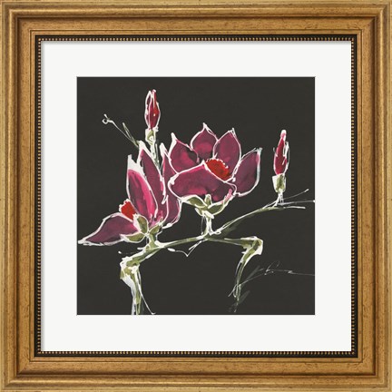 Framed Magnolia on Black III Print