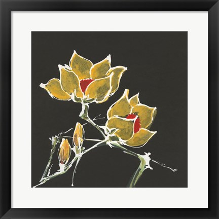 Framed Magnolia on Black II Print