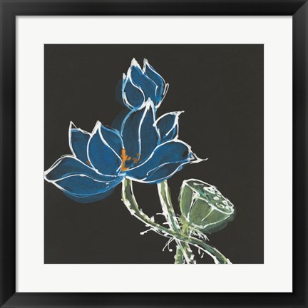 Framed Lotus on Black VII Print