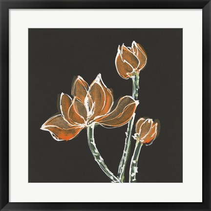 Framed Lotus on Black IV Print