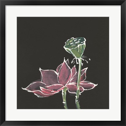 Framed Lotus on Black III Print