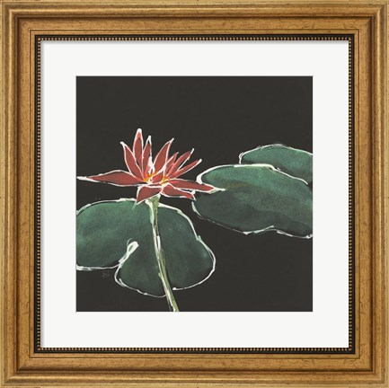 Framed Lily on Black III Print