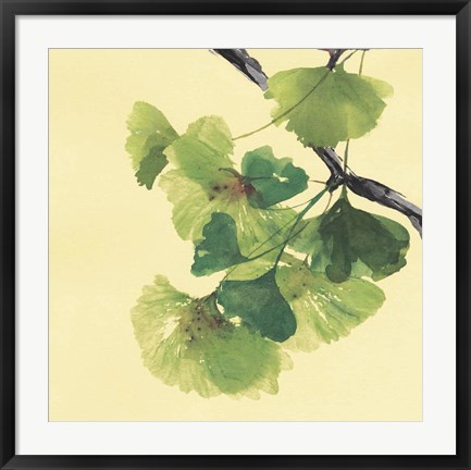 Framed Gingko Leaves II Dark Print