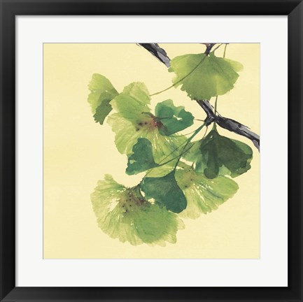 Framed Gingko Leaves II Dark Print