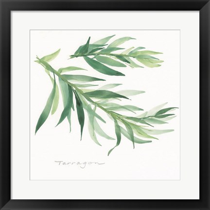 Framed Tarragon II Print