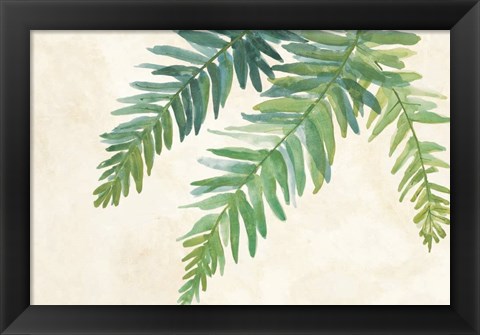 Framed Ferns Square I on Cream Print