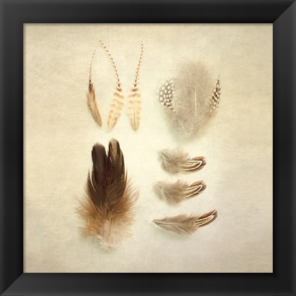 Framed Feathers II Square Print