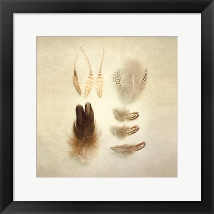 Framed Feathers II Square Print