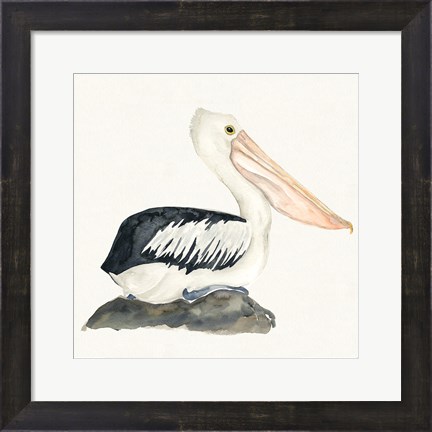 Framed Tropical Fun Bird II Print