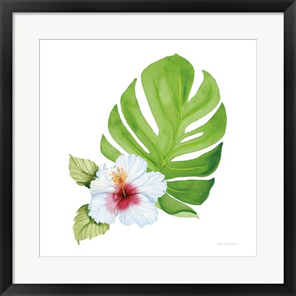 Framed Treasures of the Tropics VIII Print