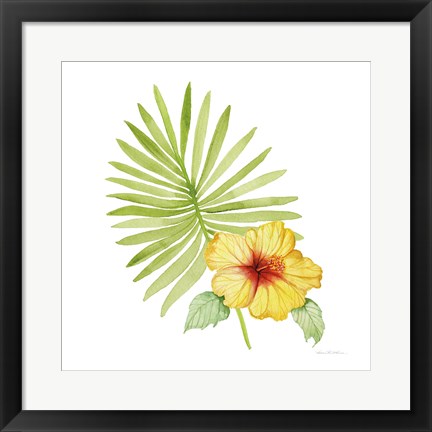 Framed Treasures of the Tropics XI Print