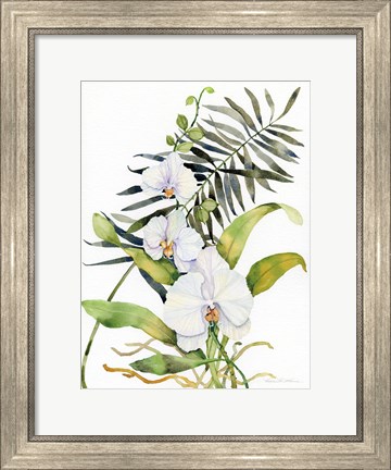Framed Botanical Phalaenopsis Print