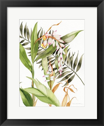 Framed Botanical Shell Ginger Print