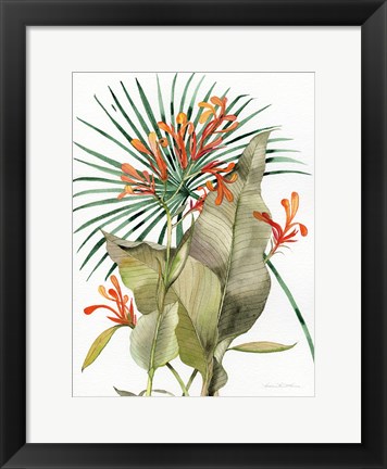 Framed Botanical Flame Lilies Print