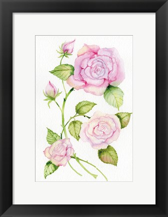 Framed Floral Delight IV Print