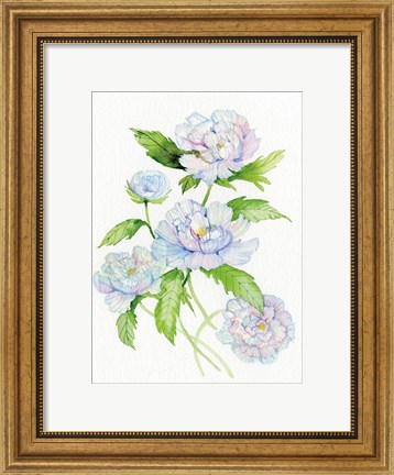 Framed Floral Delight II Print