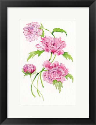 Framed Floral Delight III Print