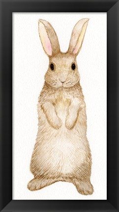 Framed Spring Bunny II White Print