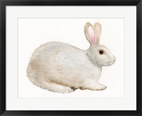 Framed Spring Bunny IV White Print