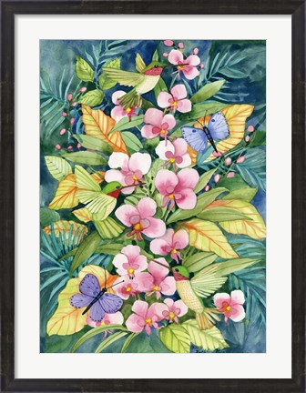 Framed Orchids and Hummingbirds Print