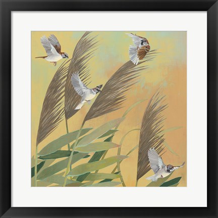 Framed Sparrows and Phragmates Sq Print