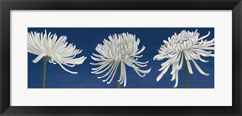 Framed Morning Chrysanthemums V Indigo Print