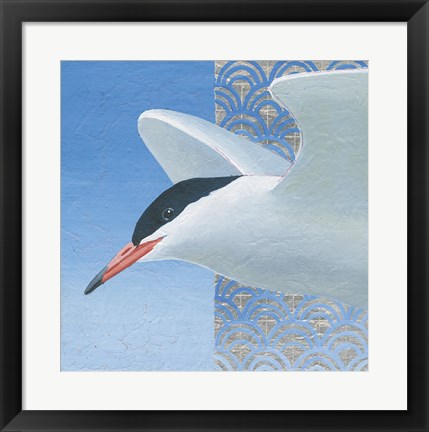 Framed Common Tern II Print