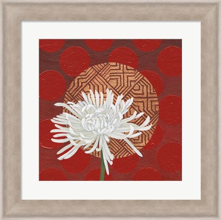 Framed Morning Chrysanthemum IV Print