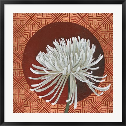 Framed Morning Chrysanthemum III Print