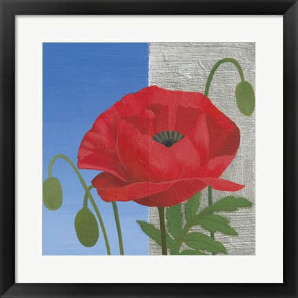 Framed Poppy Print