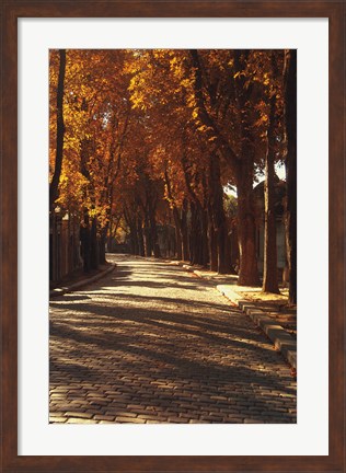 Framed Pere La Chaise Print