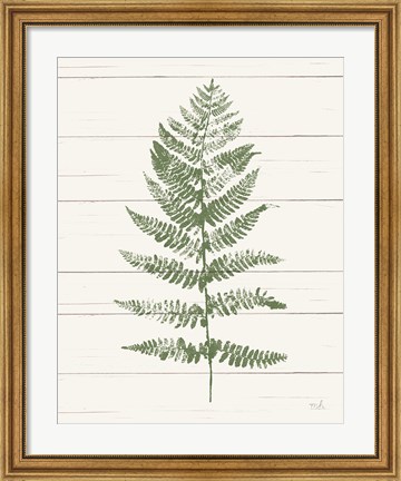 Framed Fern Print II Crop Print