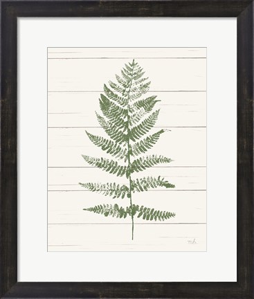 Framed Fern Print II Crop Print