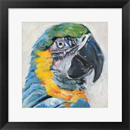 Framed Parrot II Print