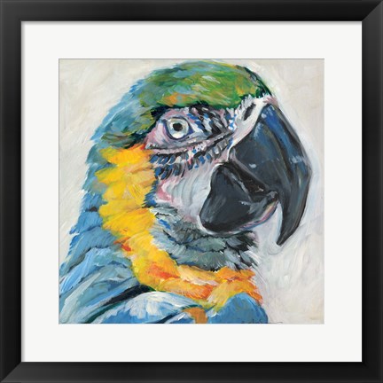 Framed Parrot II Print