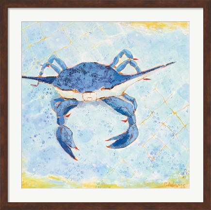 Framed Blue Crab VI Print