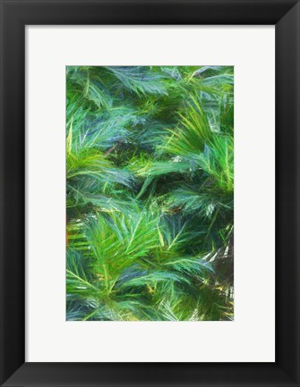 Framed Tropical Leaves I Print