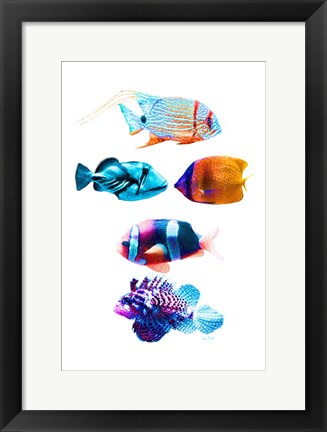 Framed Fish Tank Print