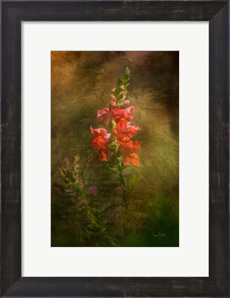 Framed Snapdragon Twilight II Print