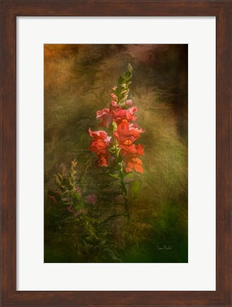 Framed Snapdragon Twilight II Print