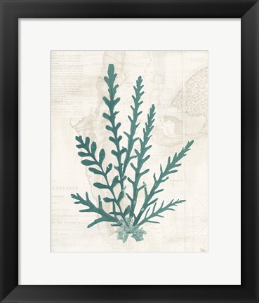 Framed Pacific Sea Mosses III Borderless Print