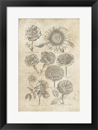 Framed Eden Antique Bookplate II Print