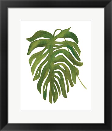 Framed Tropical Palm II Print