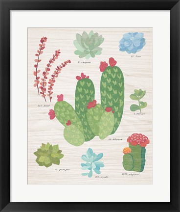 Framed Succulent Chart IV on Wood Print