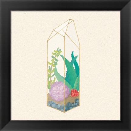 Framed Succulent Terrarium I Print