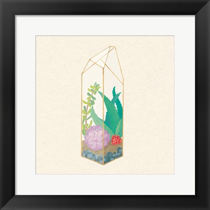 Framed Succulent Terrarium I Print