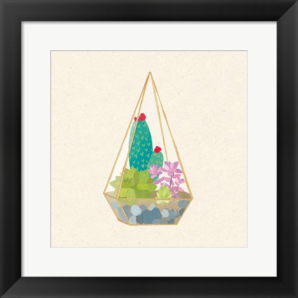 Framed Succulent Terrarium II Print