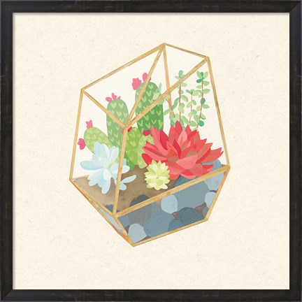 Framed Succulent Terrarium IV Print