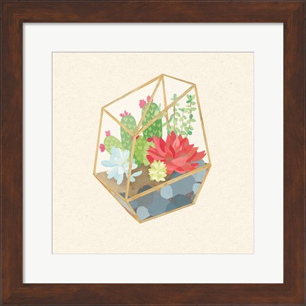 Framed Succulent Terrarium IV Print