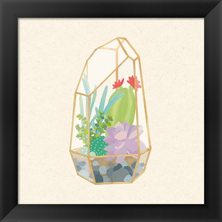 Framed Succulent Terrarium VI Print